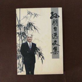 孙朋自选文集