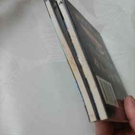 神勇小虎队:第十集足球案、第十二集斩断魔爪（无解码器）