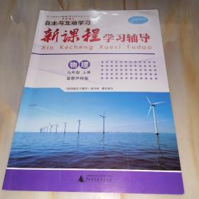 自主与互动学习新课程学习辅导 物理九年级上册（粤教泸科版）【单本】