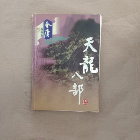 天龙八部（五）