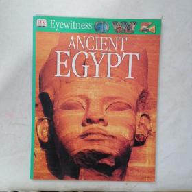 DK Eyewitness Ancient Egypt 目击者 古埃及家庭图书馆系列