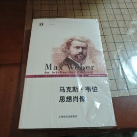 马克斯·韦伯思想肖像（未阅读）