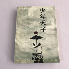 北京长篇小说创作丛书：少年天子
