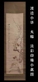 渡边小华（1835-1887）淡彩白梅小禽图 大幅 手绘 真迹 茶挂 古笔 南画 日本画 挂轴 国画 文人画 古画 老画 茶室