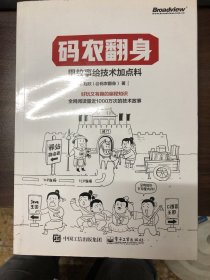 码农翻身：用故事给技术加点料