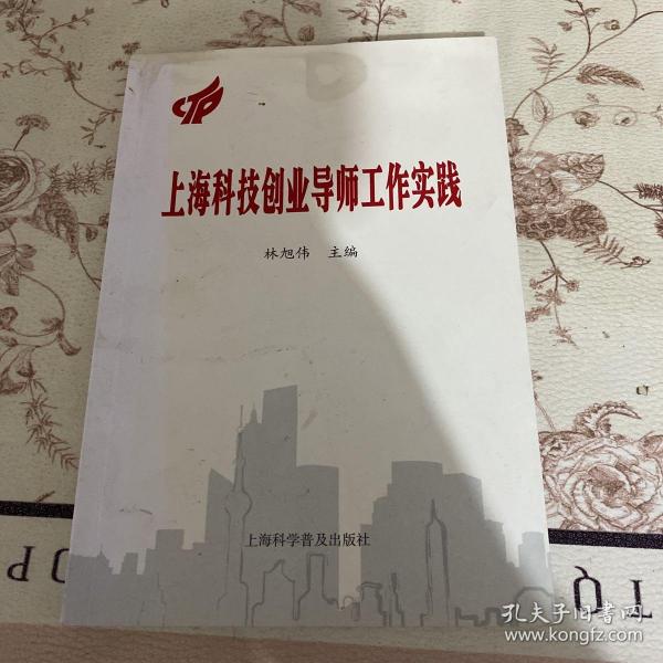 上海科技创业导师工作实践