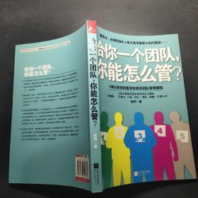 给你一个团队，你能怎么管？，