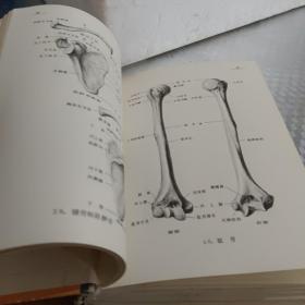 新编人体解剖手册