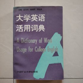 大学英语活用词典