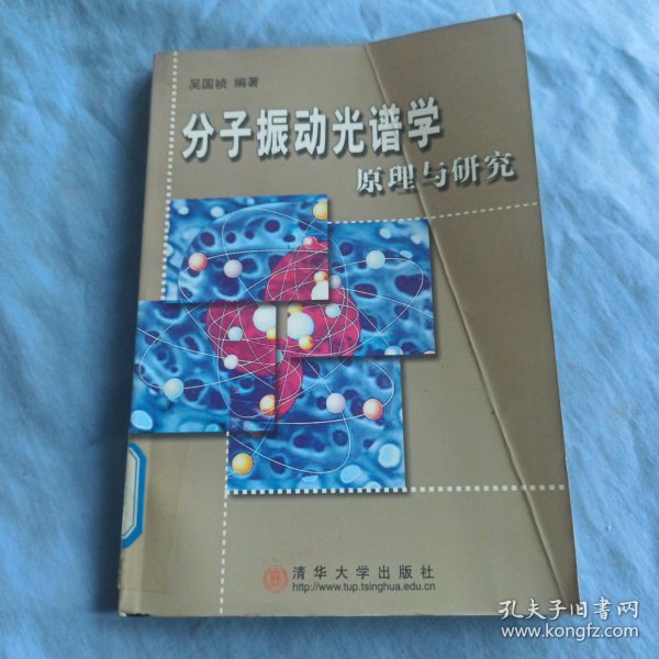 分子振动光谱学 原理与研究