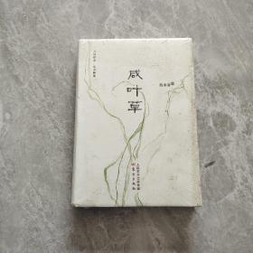 咸叶草 全新未开封