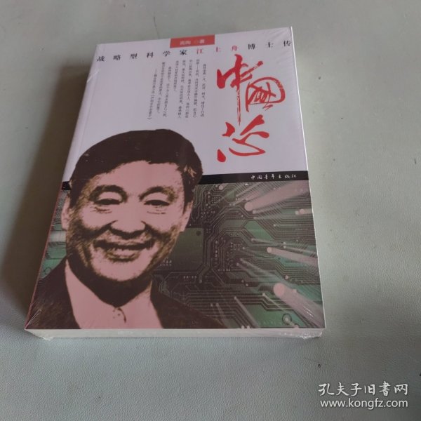 中国芯：战略型科学家江上舟博士传