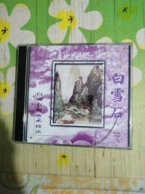 白雪石山水画技法 2VCD