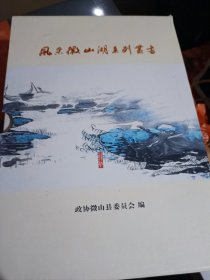 风采微山湖系列丛书