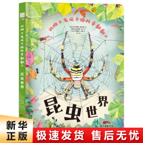 动物大发现手绘科普翻翻书：昆虫世界（欧洲生物学家联手知名插画家手绘科普，唯美淡水彩展示缤纷昆虫界！）