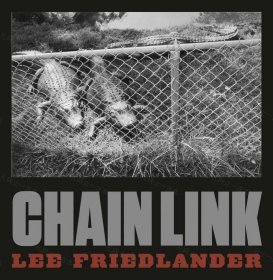 价可议 Lee Friedlander Chain Link nmzxmzxm