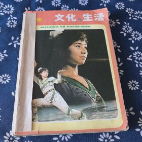 文化与生活1982（1-4）