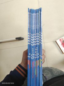 美国经典物理科学启蒙全书这就是物理10本合售：热