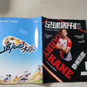 足球周刊 2023年第18期总第875期