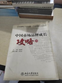 中国市场品牌成长攻略（4）