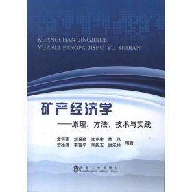 正版 矿产经济学:原理.方法.技术与实践 袁怀雨 等 冶金工业出版社