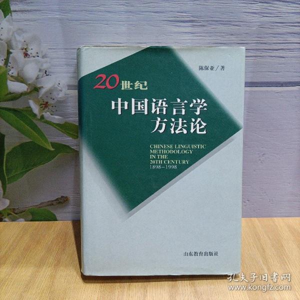 20世纪中国语言学方法论（1898-1998）