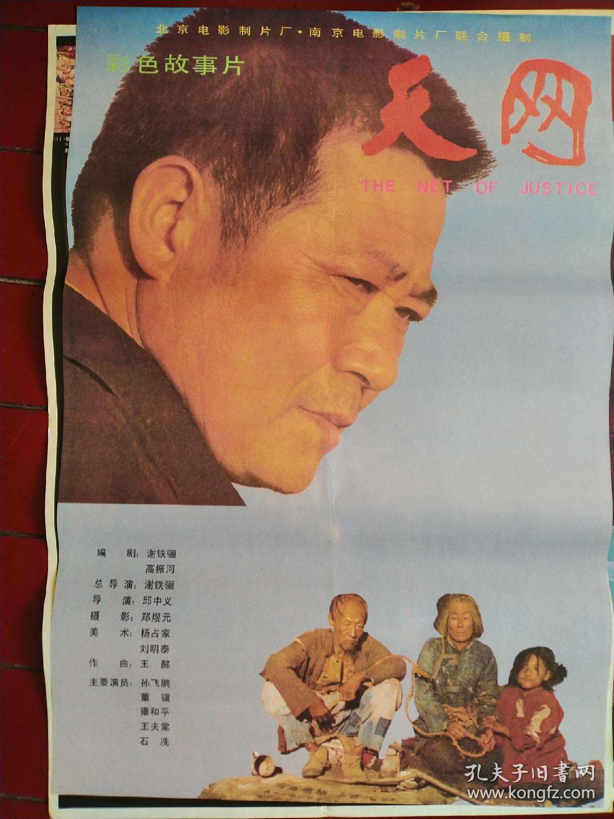 电影海报，天网，二开