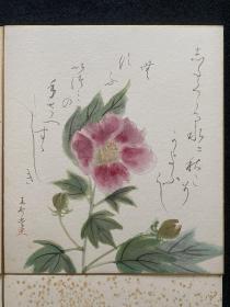 日本舶来 日本画小品 花鸟 手绘 色纸  4幅 年代物