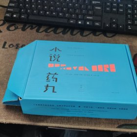 小说药丸 品如图自然旧