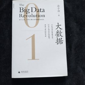 大数据：正在到来的数据革命，以及它如何改变政府、商业与我们的生活