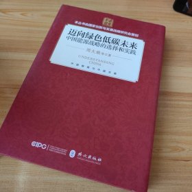 迈向绿色低碳未来(中文精装)/中国能源战略的选择和实践