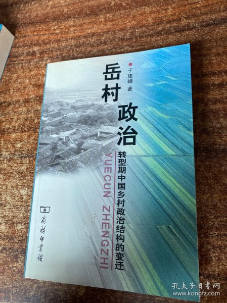 岳村政治：转型期中国乡村政治结构的变迁