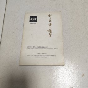 针灸经穴模型（说明书）