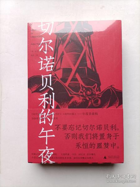 切尔诺贝利的午夜（《纽约时报》《时代周刊》年度图书）