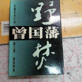 曾国藩·野焚:长篇历史小说