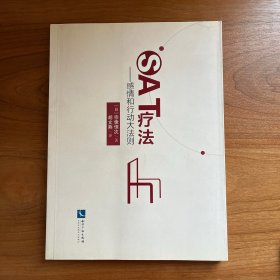 SAT疗法：感情和行动大法则