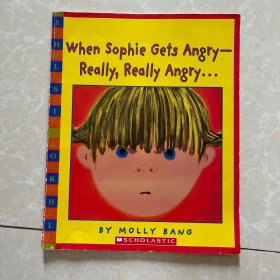 When Sophie Gets Angry Really Really Angry…