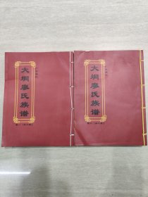 广东廉江 大垌廖氏族谱 (全二卷)