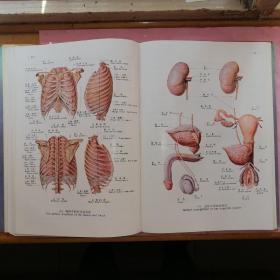 人体解剖彩色图谱【大16开•精装本】