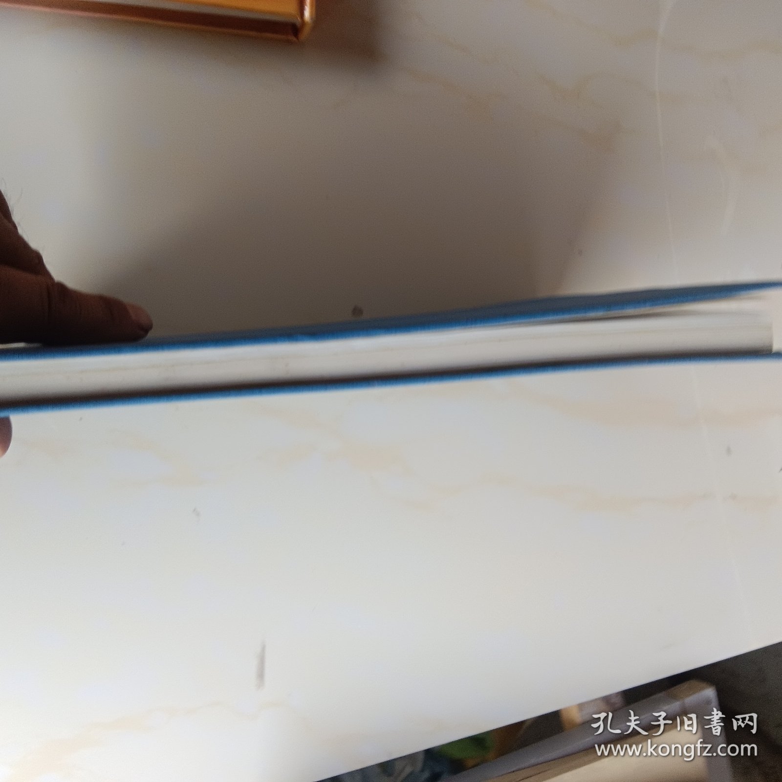 南极菲尔德斯半岛苔鲜植物手册