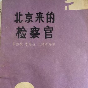 北京来的检察官