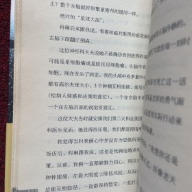追逐日光