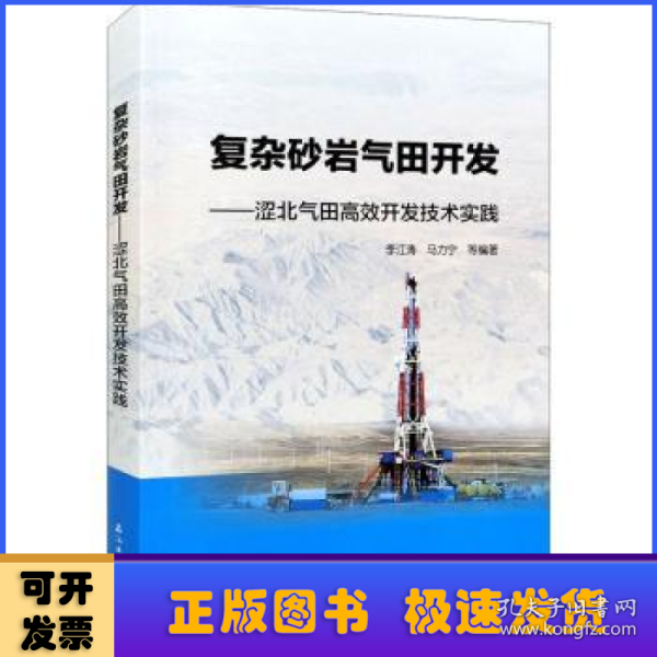 复杂砂岩气田开发——涩北气田高效开发技术实践