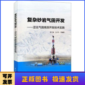 复杂砂岩气田开发——涩北气田高效开发技术实践