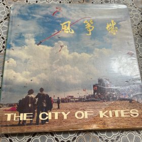 风筝城 THE CITY OF KITES