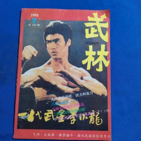 11645：武林 1995年第7期 【封面：李小龙】；纪念李小龙逝世22周年；二郎短拳——木字拳；八极大枪术（一）；双板斧；大成拳的站桩、试力和发力；