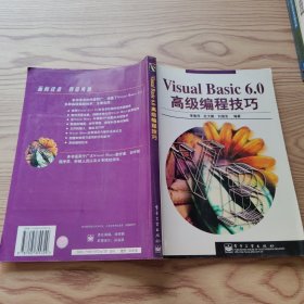Visual Basic 6.0高級編程技巧