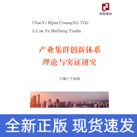 產(chǎn)業(yè)集群創(chuàng)新體系理論與實證研究
