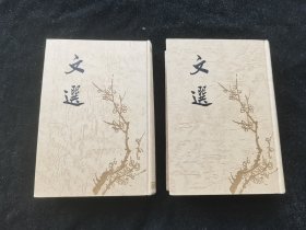 文选 又称昭明文选，《昭明文选》对后世影响深远，据唐代的史料记载《文选》的地位几已可与儒家经典并列。由于唐代科举重视《文选》，唐代士子将《文选》作为必读书，至宋代，宋人对《文选》的精熟程度更甚。后世流传的《文选》诸刻本几乎都出自宋代，可见一斑。明清时，对《昭明文选》的续、广之书盛行，评点频出，刻本日繁。《文选》一书及其所代表的文学风格终成古代文学的典范之一。