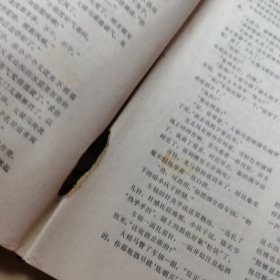 人民文学1981年